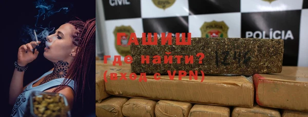 гашик Алексин