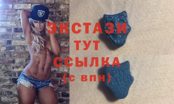 гашик Алексин
