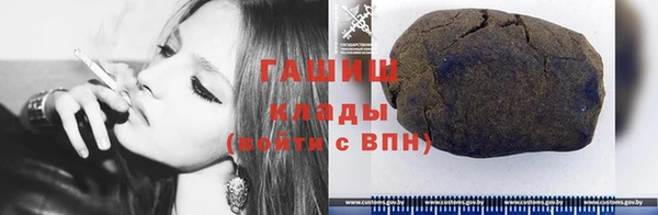 гашик Алексин