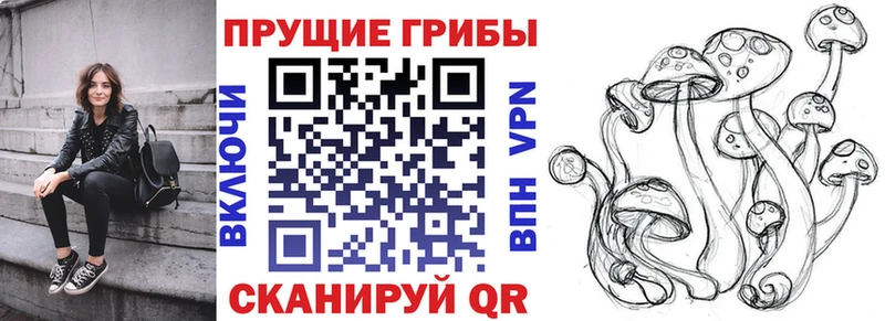Галлюциногенные грибы Psilocybe Гуково